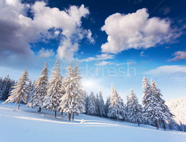 Foto stock: Invierno · fantástico · paisaje · dramático · cielo · Ucrania