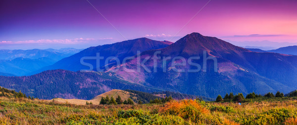 Pôr do sol montanhas paisagem céu árvore Foto stock © Leonidtit