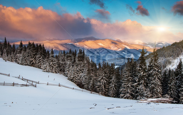 Inverno nascer do sol montanhas céu árvore Foto stock © Leonidtit