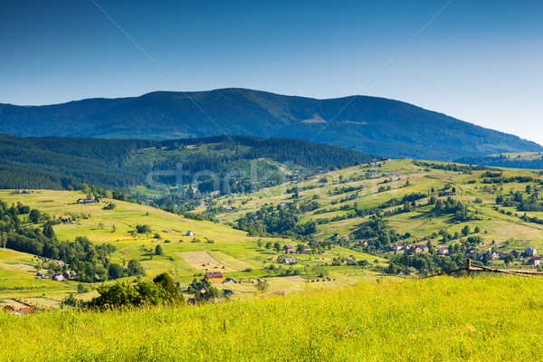 Morning sunny day is in mountain landscape. Carpathian, Ukraine, Europe. Beauty world. Stock photo © Leonidtit
