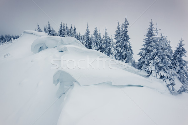 Invierno fantástico paisaje parque Ucrania Europa Foto stock © Leonidtit