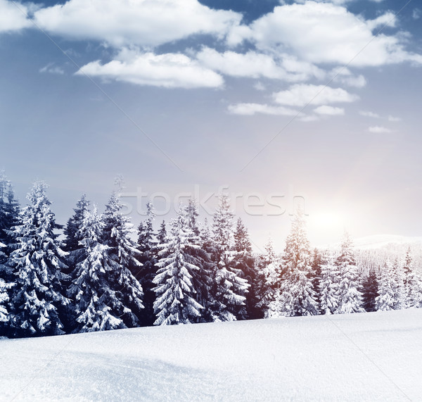 Kış fantastik manzara Ukrayna Avrupa güzellik Stok fotoğraf © Leonidtit