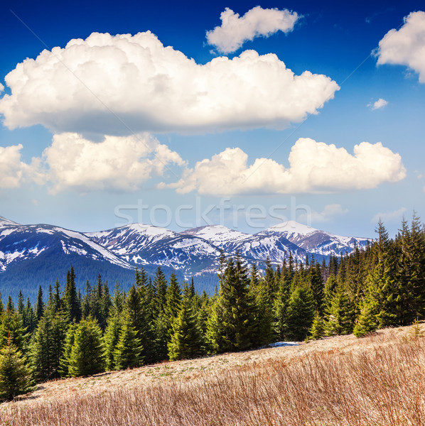 Berge Landschaft schönen Berg Ukraine Stock foto © Leonidtit