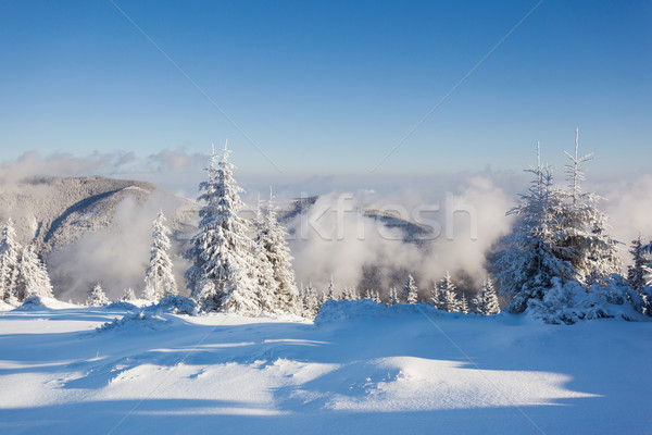 Winter ijzig hemel zon landschap Stockfoto © Leonidtit