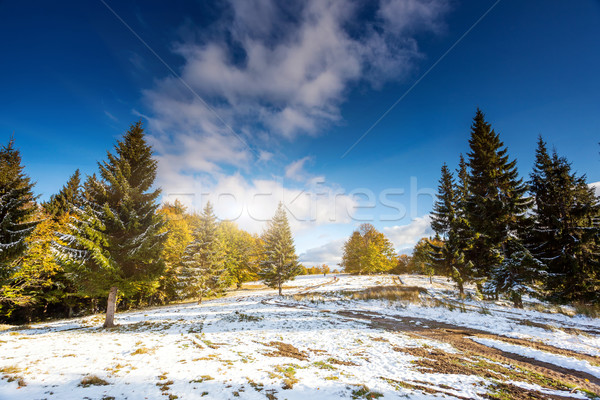 Munte peisaj frumos colorat pădure Imagine de stoc © Leonidtit