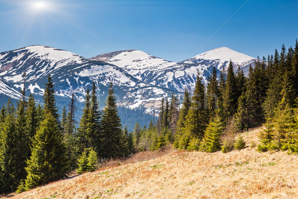 Montagna fantastico panorama parco Ucraina Foto d'archivio © Leonidtit