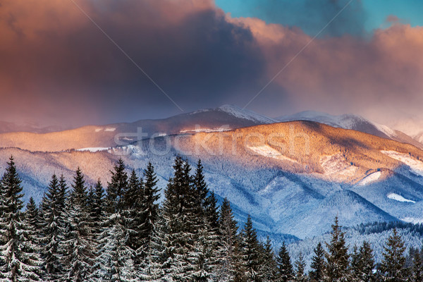 Winter sunrise Berge Himmel Baum Stock foto © Leonidtit