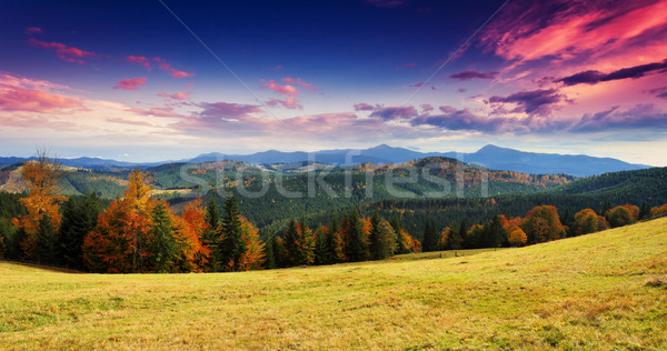 Herbst Morgen Berg Landschaft farbenreich Stock foto © Leonidtit