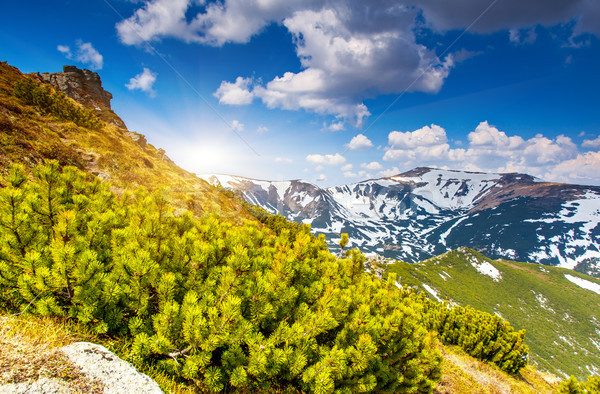 Foto stock: Montana · paisaje · hermosa · Ucrania · Europa