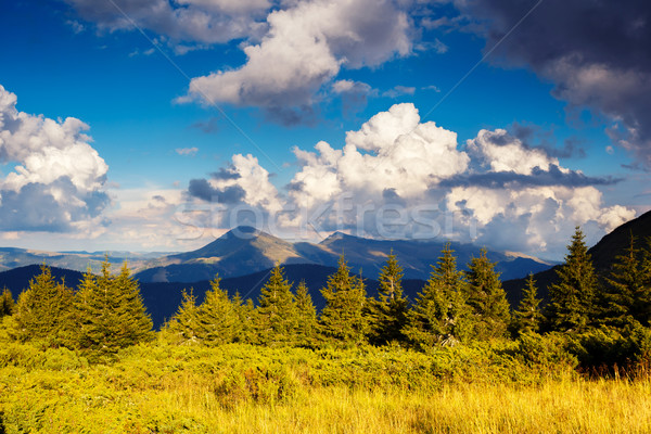 Foto stock: Montana · paisaje · hermosa · vista · rural · alpino