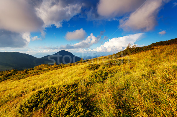 Montanha paisagem belo ver rural alpino Foto stock © Leonidtit
