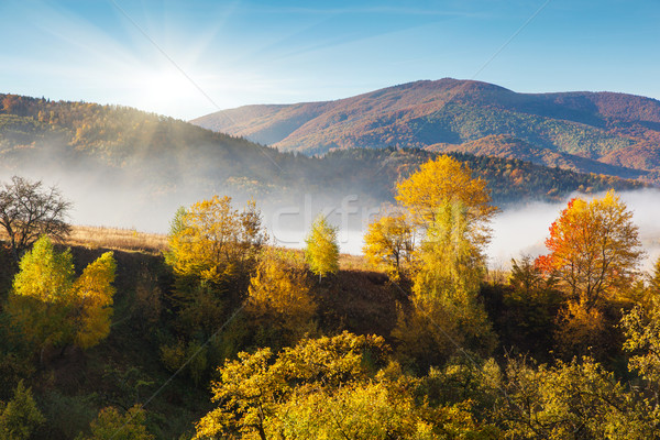 Herbst Morgen Berg Landschaft farbenreich Stock foto © Leonidtit