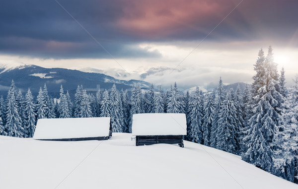 Hiver fantastique paysage dramatique ciel parc [[stock_photo]] © Leonidtit