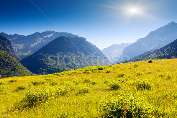 Munte peisaj frumos vedere alpin Imagine de stoc © Leonidtit