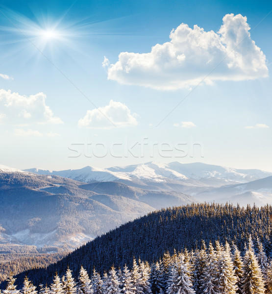 Tél fagyos napos idő hegyek Ukrajna Európa Stock fotó © Leonidtit