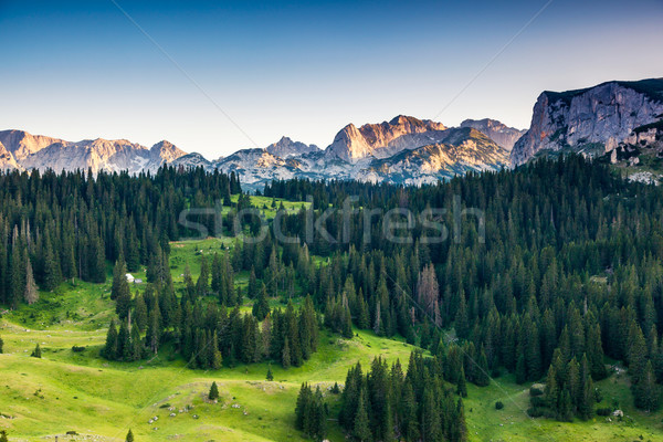 mountain landscape Stock photo © Leonidtit