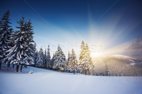 Inverno tramonto montagna panorama hdr Foto d'archivio © Leonidtit