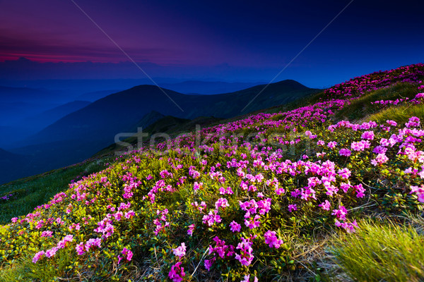 mountain landscape Stock photo © Leonidtit