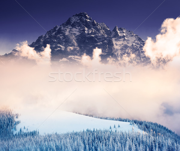 Foto stock: Inverno · fantástico · paisagem · colorido · céu · criador