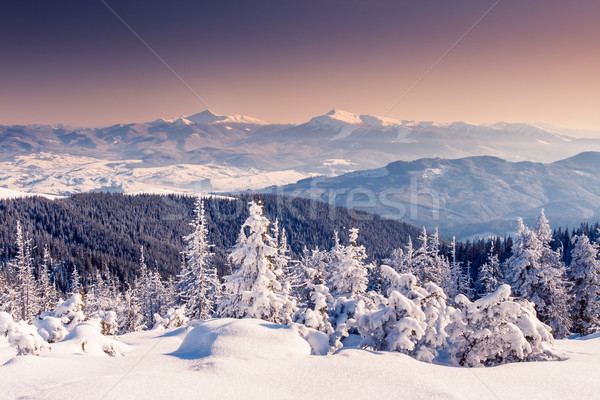 Tél fantasztikus reggel hegy tájkép színes Stock fotó © Leonidtit