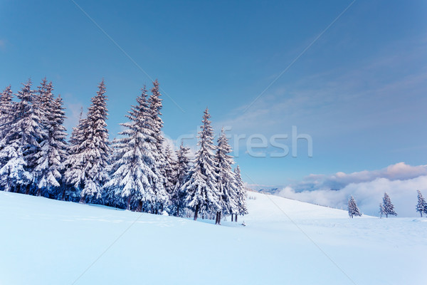 Iarnă fantastic peisaj Blue Sky Ucraina Europa Imagine de stoc © Leonidtit