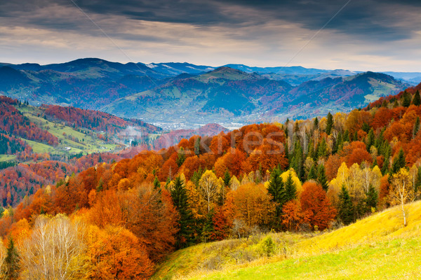 Jesienią górskich krajobraz kolorowy lasu słońce Zdjęcia stock © Leonidtit