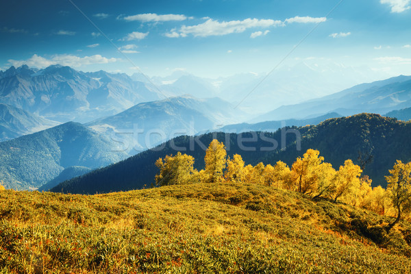 beautiful autumn landscape Stock photo © Leonidtit