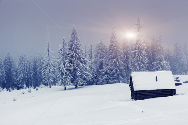 Inverno fantastico panorama parco Ucraina Europa Foto d'archivio © Leonidtit