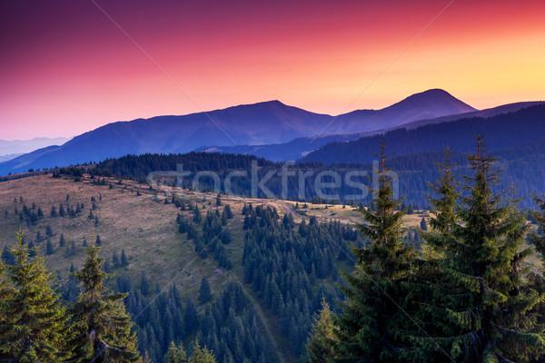Montanha paisagem manhã colorido nuvem Foto stock © Leonidtit