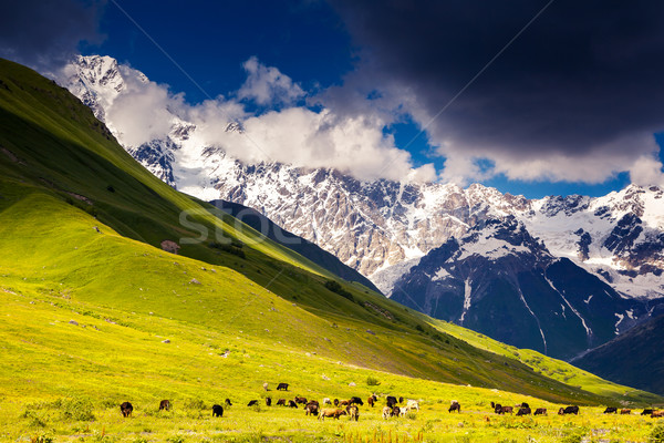 Stock photo: alp