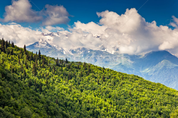 Berg landschap mooie alpine Stockfoto © Leonidtit