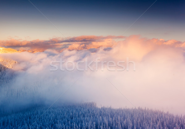 Foto stock: Montana · paisaje · fantástico · invierno · colorido