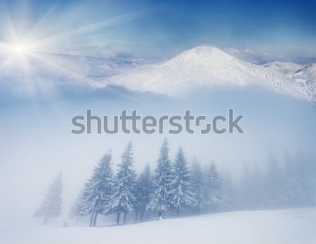 Tél gyönyörű tájkép hó fedett fák Stock fotó © Leonidtit