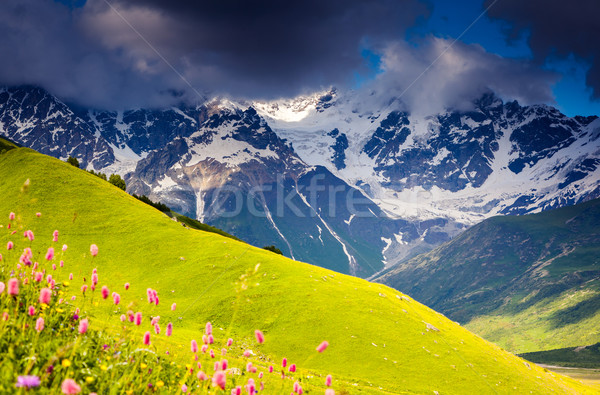 Berg Landschaft schönen Wiesen Fuß Stock foto © Leonidtit