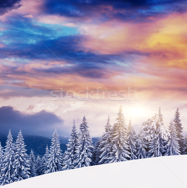 Winter fantastisch Morgen Berg Landschaft farbenreich Stock foto © Leonidtit