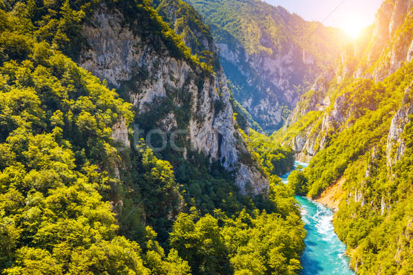 Сток-фото: реке · Черногория · известный · каньон · фантастический · водохранилище