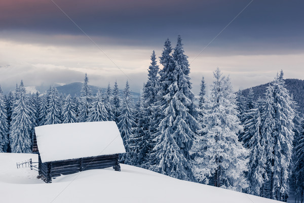 Tél fantasztikus tájkép drámai égbolt park Stock fotó © Leonidtit