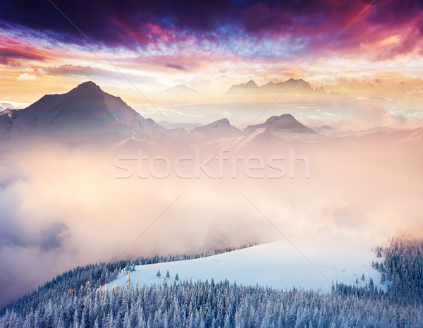 Foto d'archivio: Inverno · fantastico · panorama · colorato · cielo · creativo