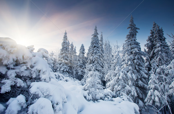 Tél fenséges naplemente hegyek tájkép hdr Stock fotó © Leonidtit