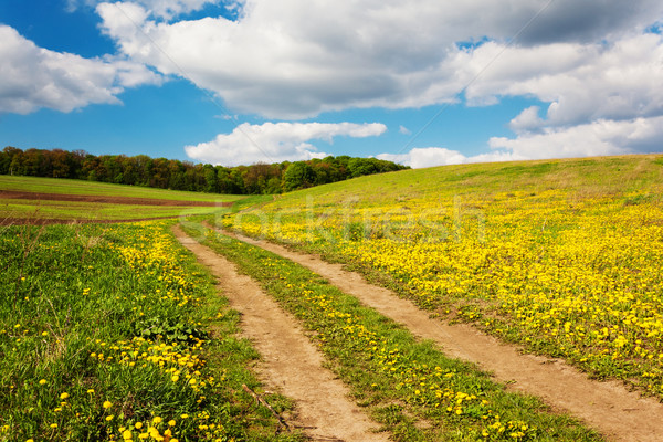 Rural belo campo blue sky céu Foto stock © Leonidtit