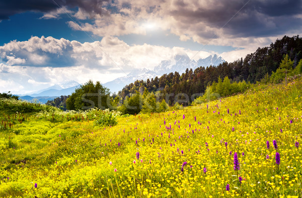 Montana hermosa vista alpino pie Foto stock © Leonidtit