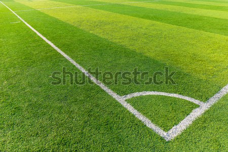 Boisko do piłki nożnej tekstury trawy sportu piłka nożna dziedzinie Zdjęcia stock © leungchopan