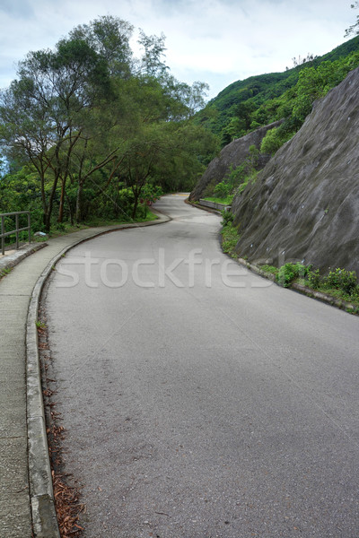 road Stock photo © leungchopan