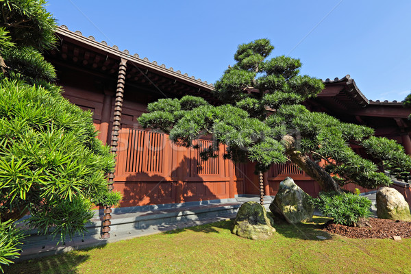 chinese garden Stock photo © leungchopan