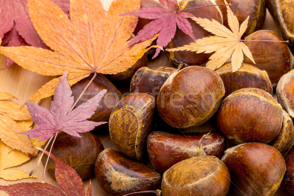 Chestnut and maple leave in Autumn Stock photo © leungchopan