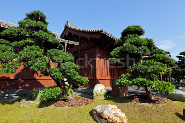 Chinês jardim flores estrada parede natureza Foto stock © leungchopan