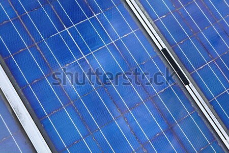 solar panel cell Stock photo © leungchopan
