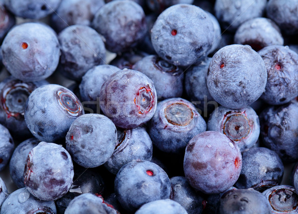 blueberry Stock photo © leungchopan