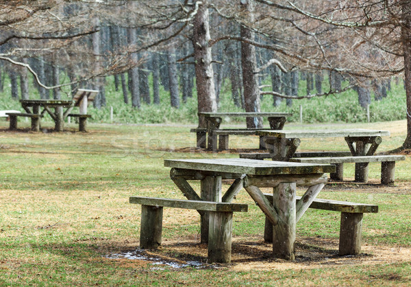 Picnic area in forest Stock photo © leungchopan