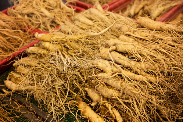 Ginseng for sell in food market Stock photo © leungchopan